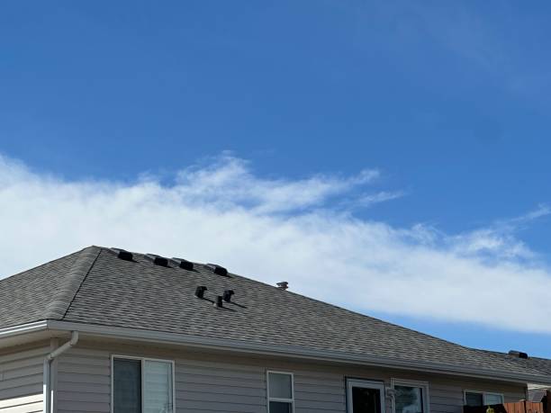 Best Roof Coating and Sealing  in Tracyton, WA